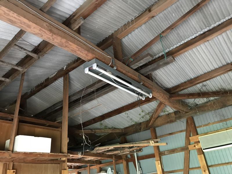 画像を等倍で表示します 画像