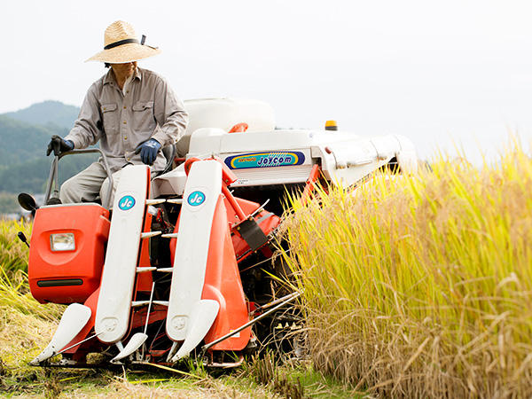 画像を等倍で表示します 画像