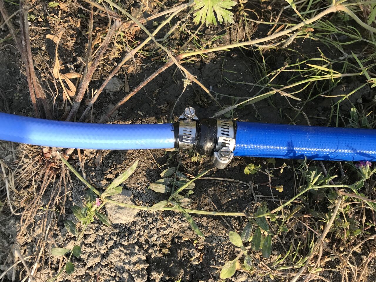 水やり用ホースを引きました。 : 向島ポンポコ日記