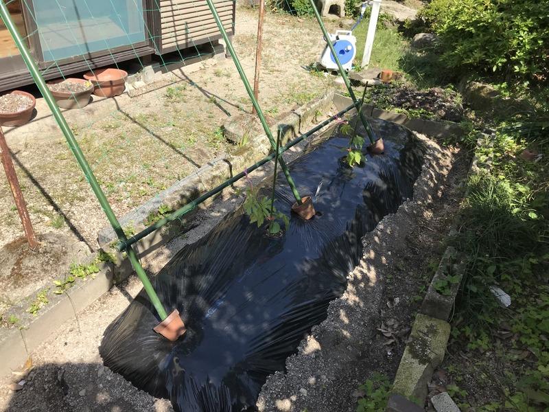 画像を等倍で表示します 画像