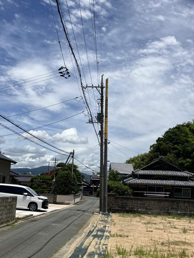 99f9550e-s.jpg