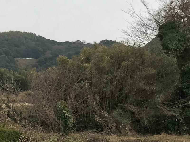 画像を等倍で表示します 画像