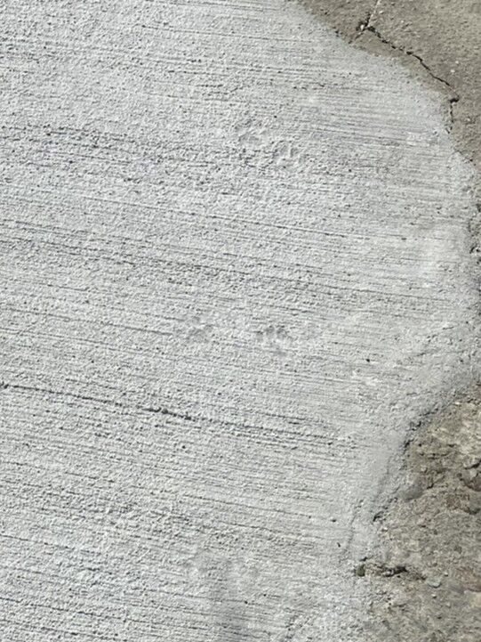 IMG_1790 - コピー