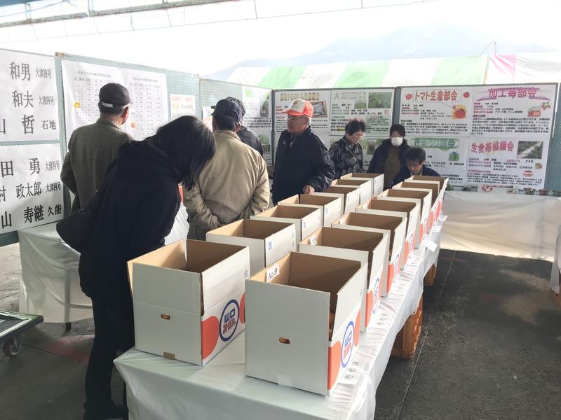 画像を等倍で表示します 画像