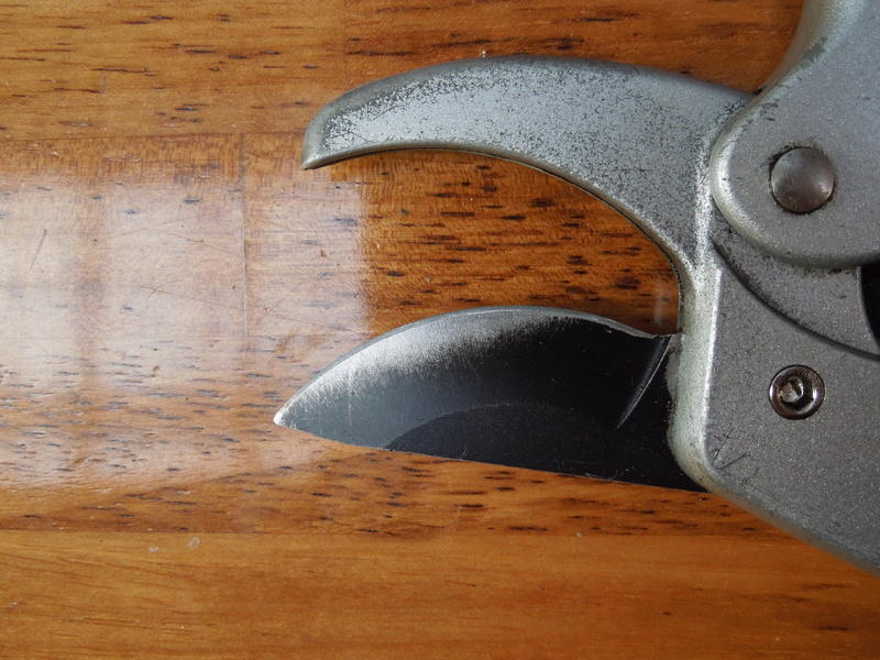 画像を等倍で表示します 画像