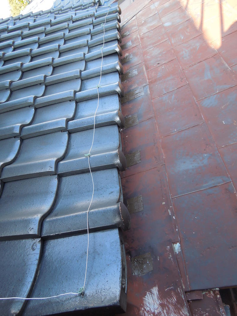 画像を等倍で表示します 画像