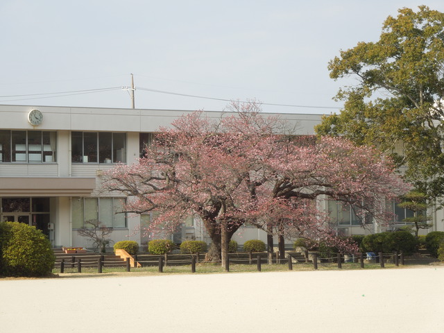 DSCN8456