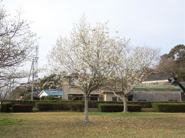 DSCN8154.JPG