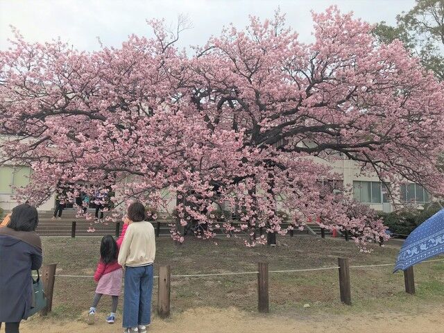 IMG_2045.JPEG