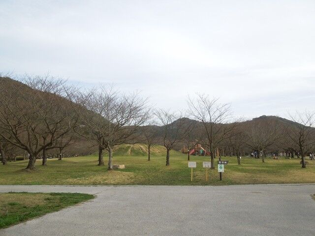 DSCN8167.JPG