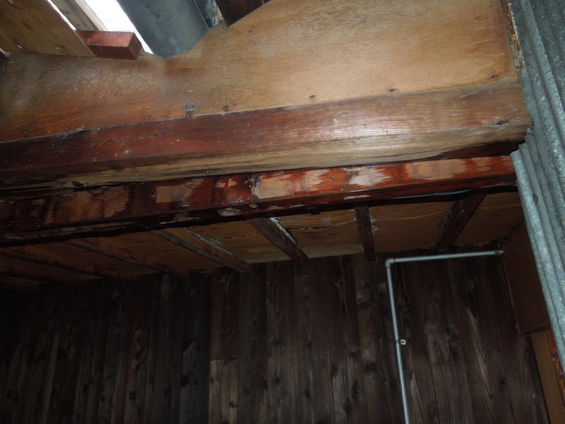 画像を等倍で表示します 画像