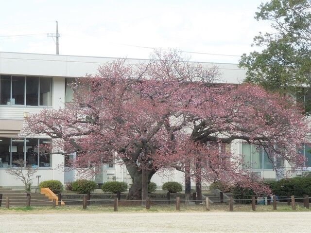 DSCN7891.JPG