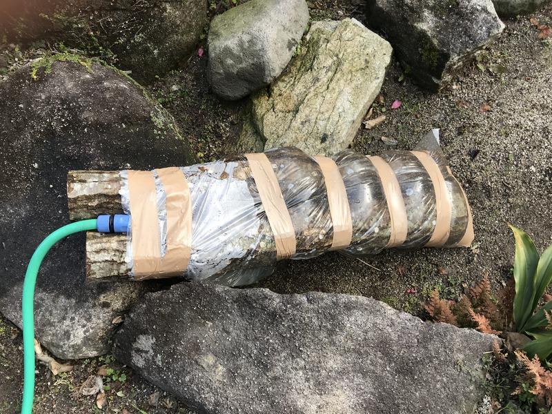 画像を等倍で表示します 画像