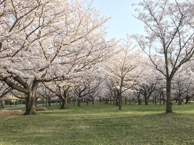 IMG_6538.JPEG