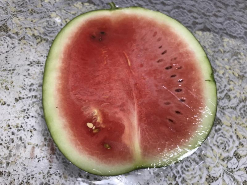 画像を等倍で表示します 画像