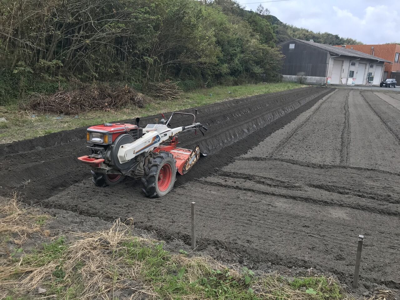 西側畑4回目鋤き込み 畝立て : 向島ポンポコ日記