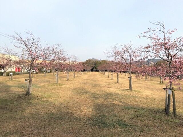 IMG_6074.JPEG