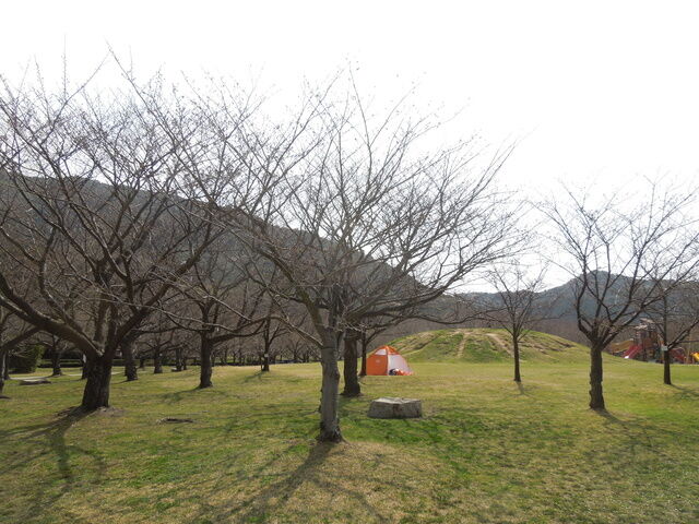 DSCN8189.JPG