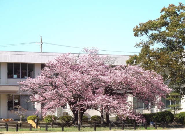 DSCN8469_R