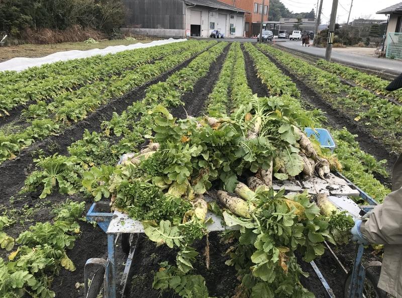 画像を等倍で表示します 画像