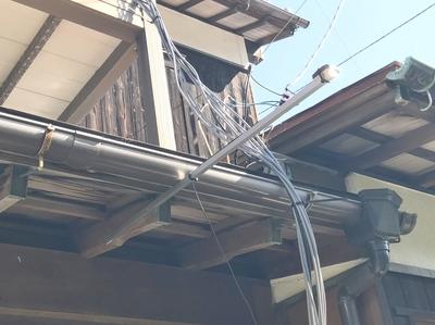 画像を等倍で表示します 画像