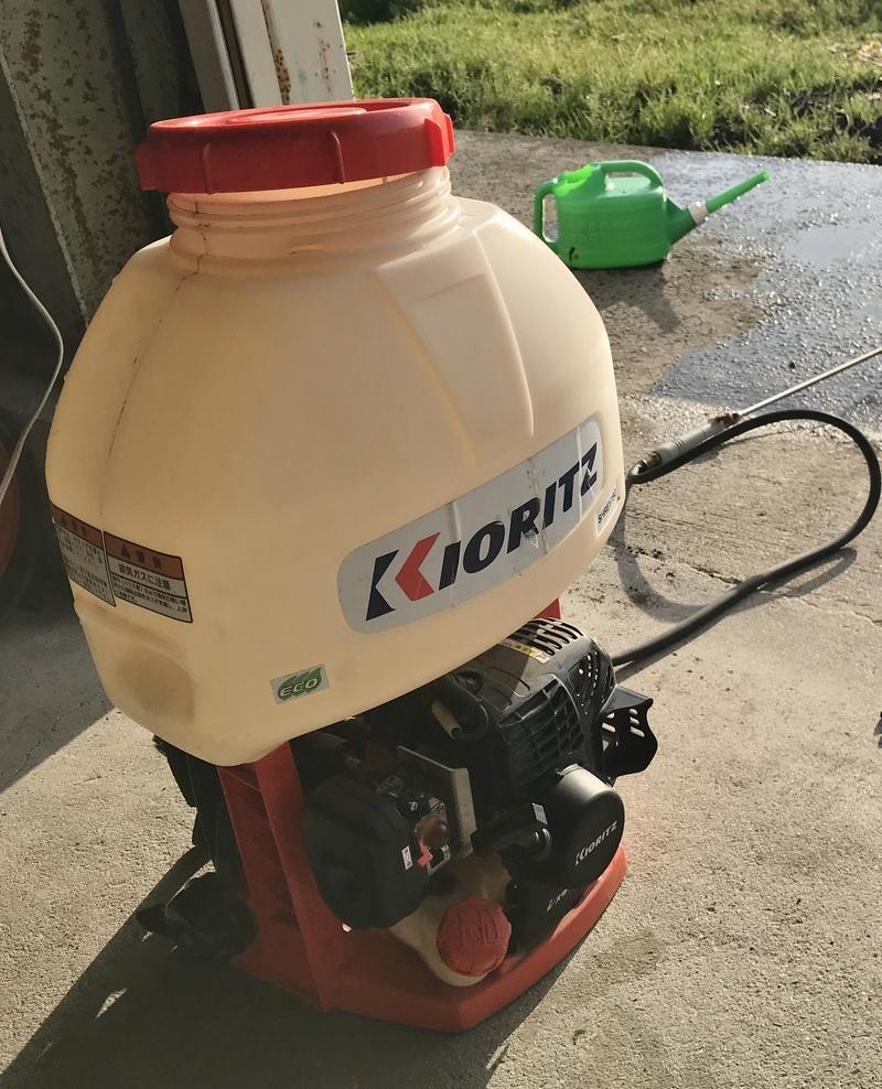 画像を等倍で表示します 画像