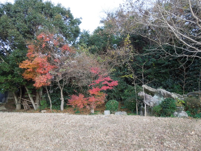 DSCN0330