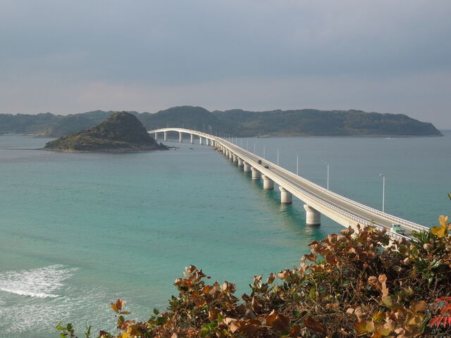 DSCN8401.JPG