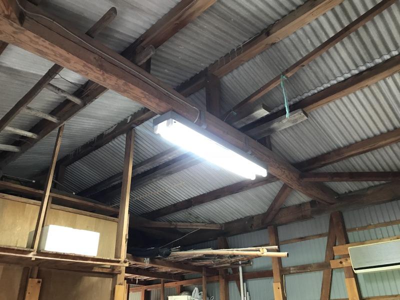 画像を等倍で表示します 画像