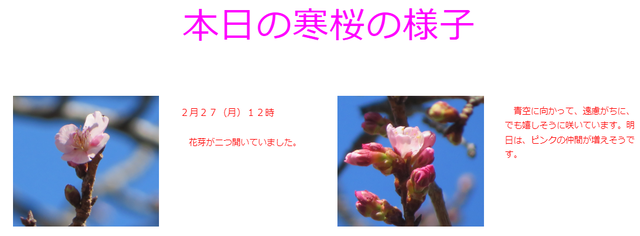 スクリーンショット 2023-02-28 091305