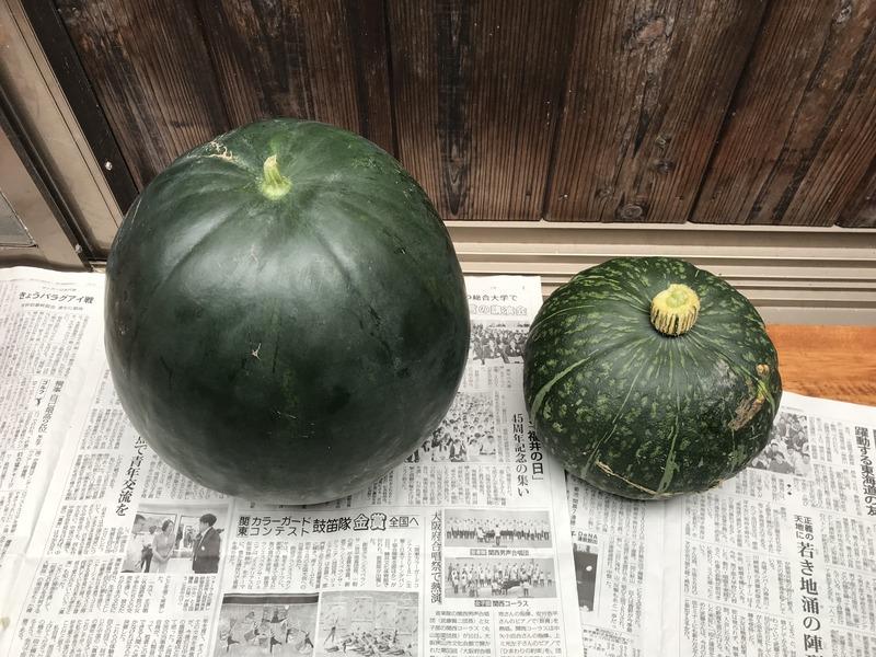 画像を等倍で表示します 画像