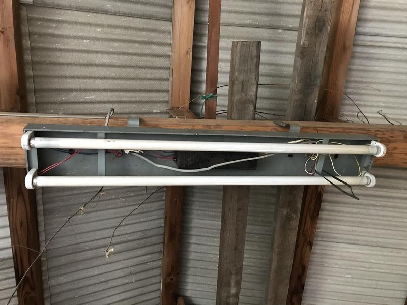 画像を等倍で表示します 画像