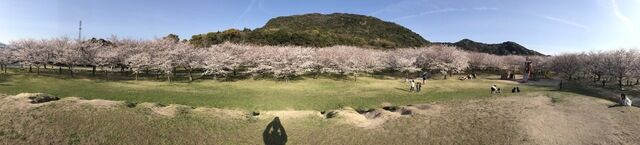 IMG_2474.JPEG