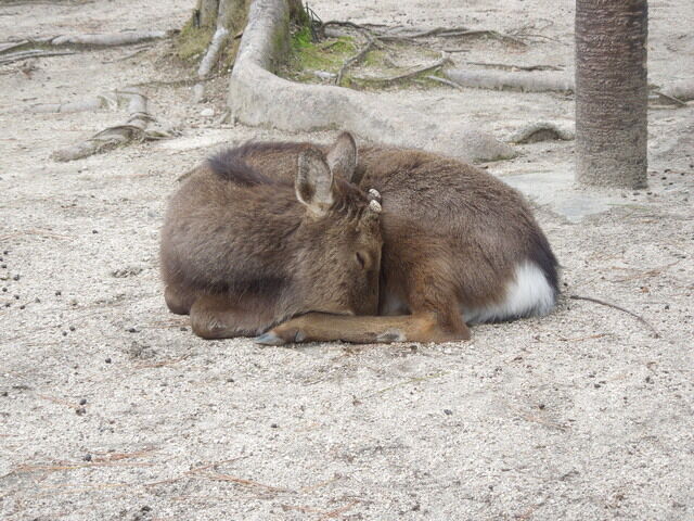 DSCN2744.JPG