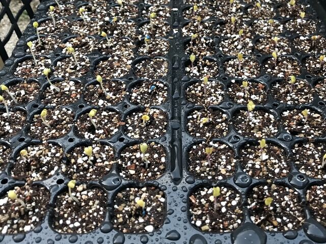 IMG_9379 - コピー.jpg