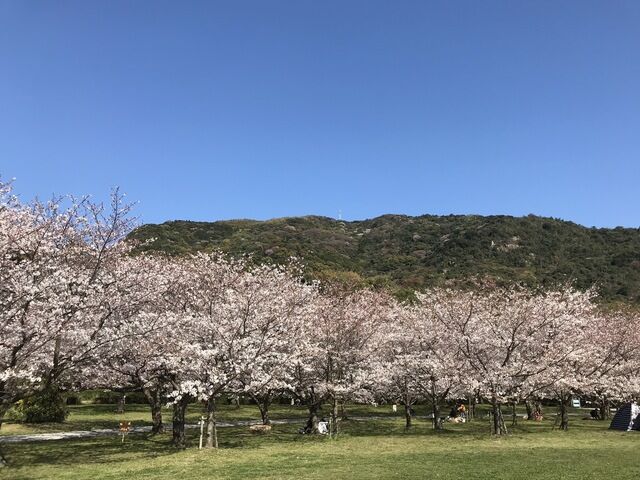 IMG_2447.JPEG