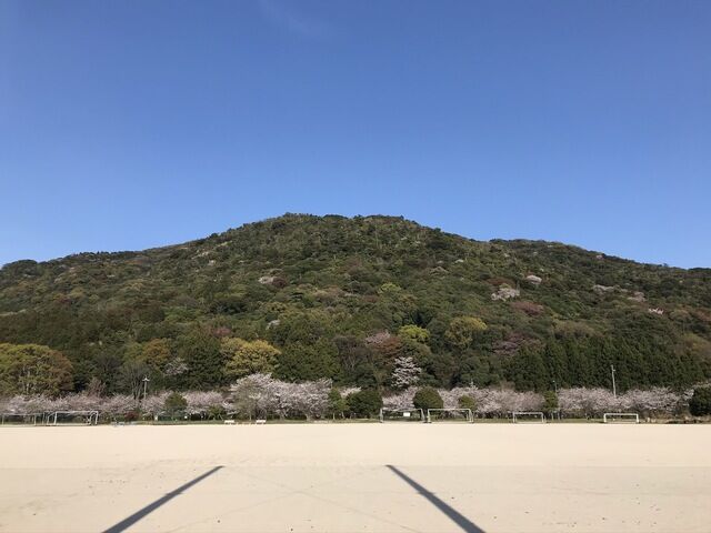 IMG_2467.JPEG