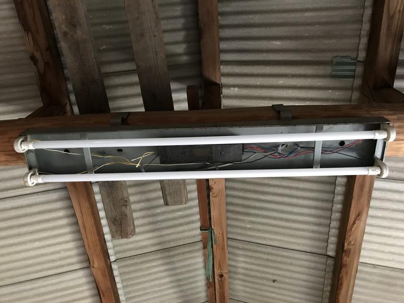 画像を等倍で表示します 画像