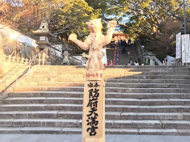 IMG_0111.JPEG