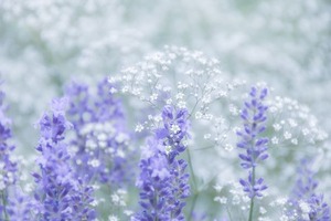 4f43216fe546cc33c330d78211655e5b_s