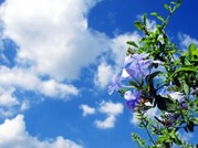 a0002_009099