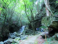 IMG_2528 (640x480)