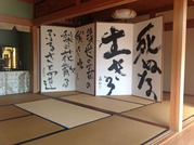 photo11
