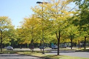 a1180_006401