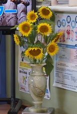 DSC00301_1