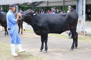 IMG_1720
