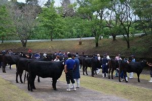 IMG_1748
