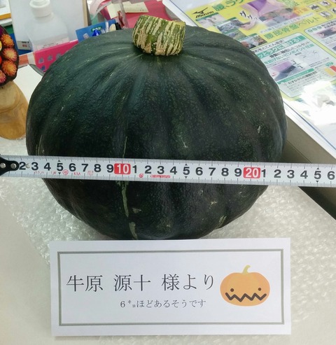 IMG_20151125_134419_