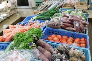 IMG_2411