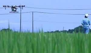 IMG_0454
